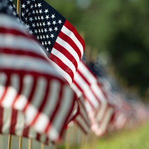Rows of American Flags.